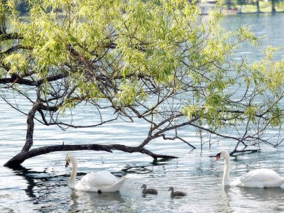 Holiday house Seehaus C | Waldstrand Berger - Environment photo 19