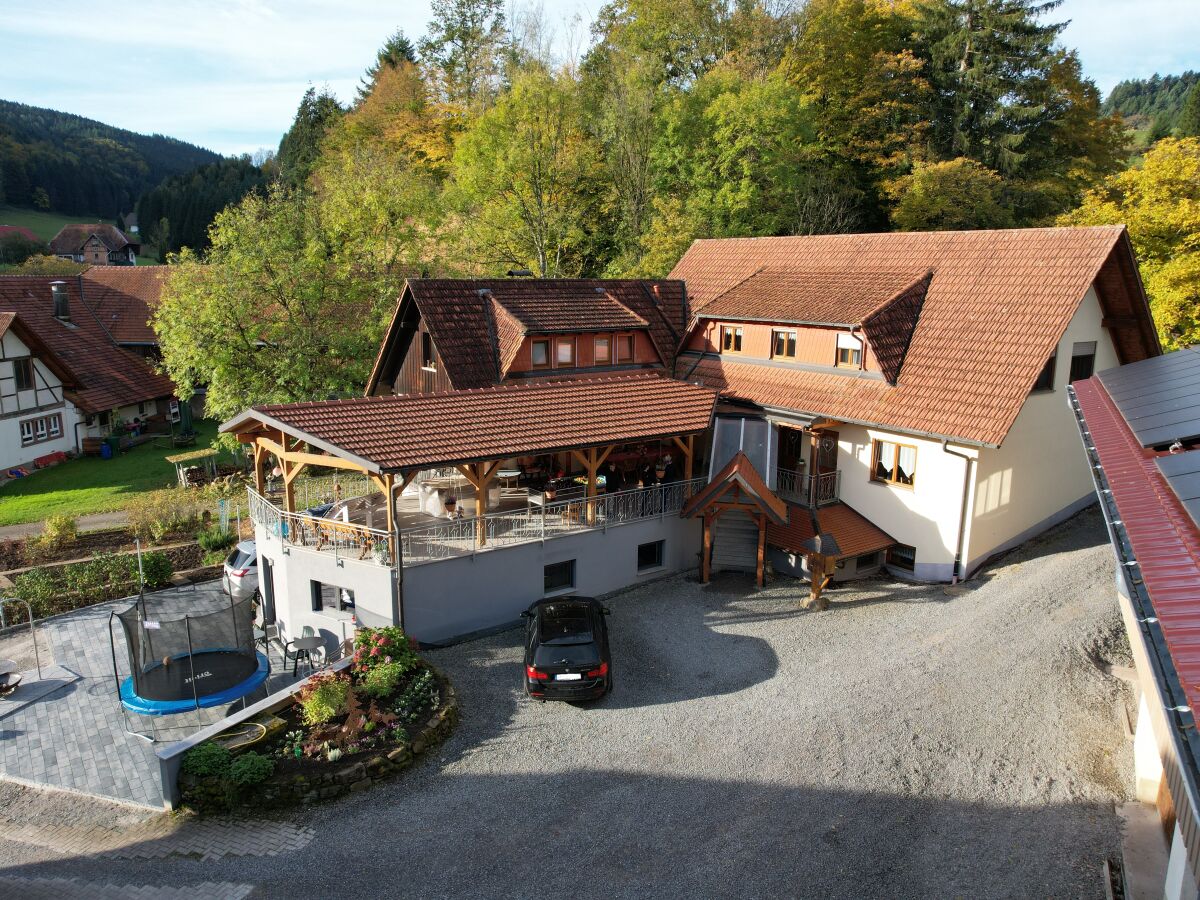 Holiday apartment Himmelsbach - Outdoor photo 2