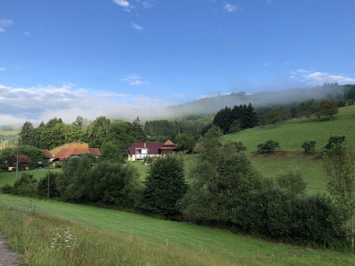 Holiday apartment Himmelsbach - Outdoor photo 3