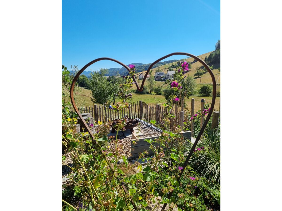 Holiday apartment Himmelsbach - Outdoor photo 4