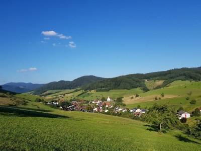 Holiday apartment Himmelsbach - Environment photo 17