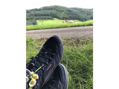 Holiday apartment Himmelsbach - Environment photo 19