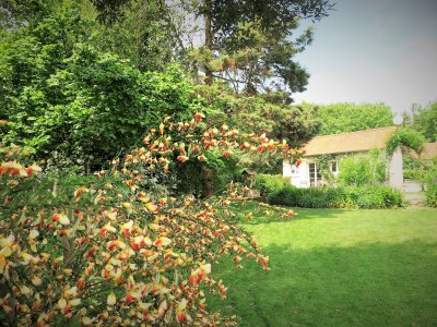 Holiday house Le Nid de Mer - Outdoor photo 7