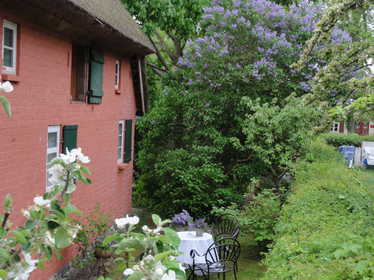 Holiday house "The Darß House" - Outdoor photo 3