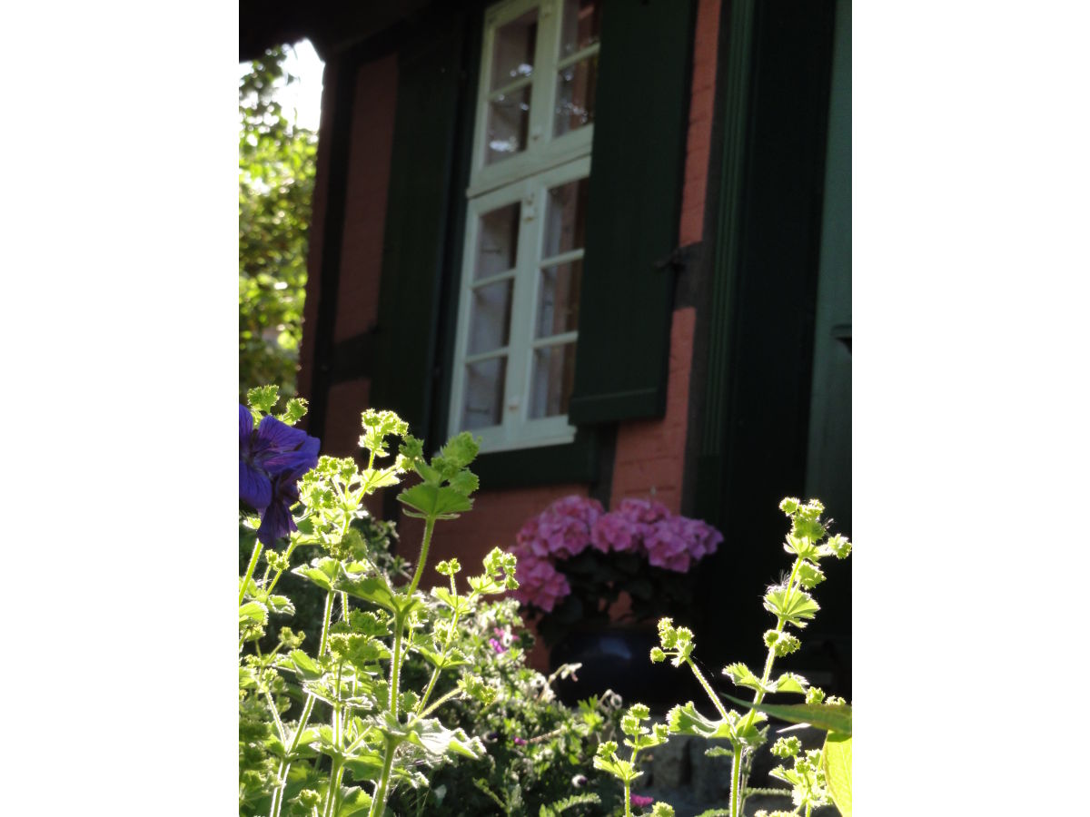 Holiday house "The Darß House" - Outdoor photo 5