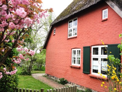 Holiday house "The Darß House" - Outdoor photo 2