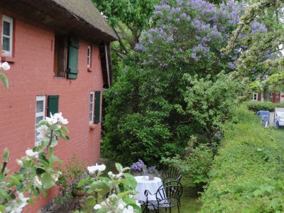 Holiday house "The Darß House" - Outdoor photo 3