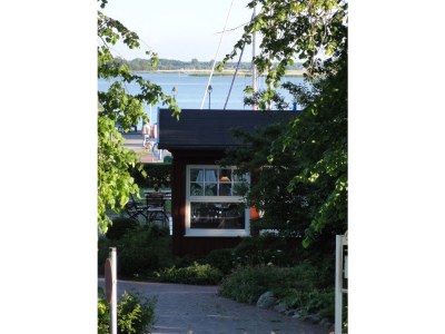 Holiday house "The Darß House" - Environment photo 15