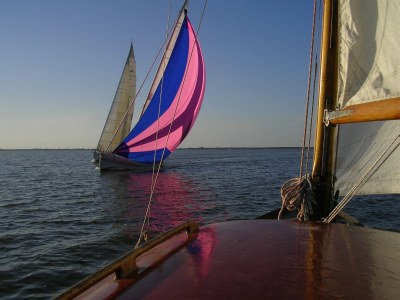 Holiday house "The Darß House" - Environment photo 16