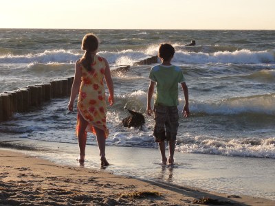 Holiday house "The Darß House" - Environment photo 17