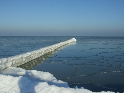 Holiday house "The Darß House" - Environment photo 20