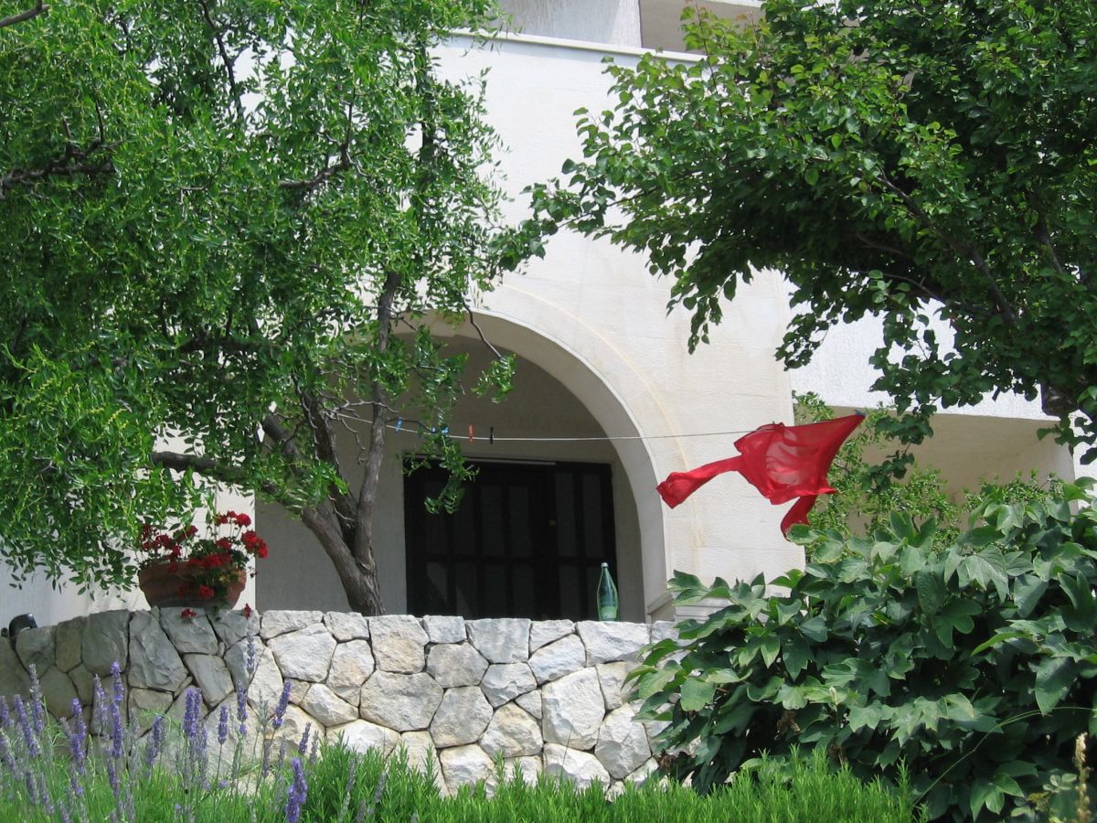 Pension Maslina - Outdoor photo 3