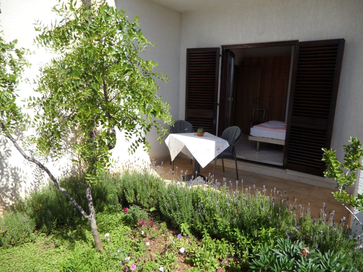 Pension Maslina - Outdoor photo 4