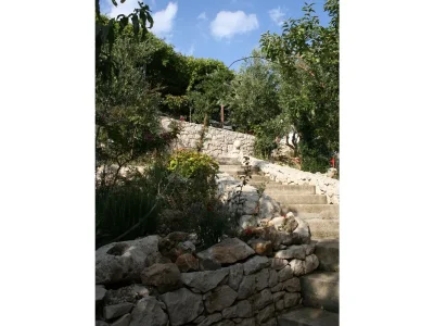 Pension Maslina - Outdoor photo 6