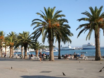 Pension Maslina - Environment photo 13