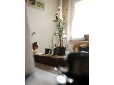 Holiday apartment holiday apartement Rachel - Features photo 17