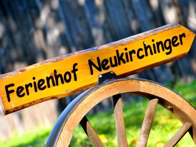 Holiday apartment Falkenstein - Ferienhof Neukirchinger - Outdoor photo 8