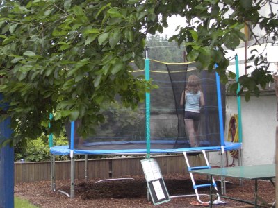 Holiday apartment Falkenstein - Ferienhof Neukirchinger - Environment photo 33