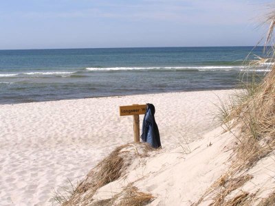 Holiday house Treibholz - Environment photo 15