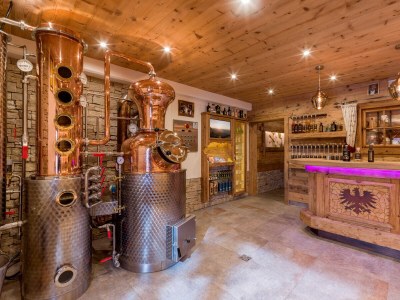 Holiday apartment Holiday Apartment Spitaler - Outdoor photo 6