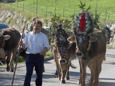 Holiday apartment Holiday Apartment Spitaler - Environment photo 16