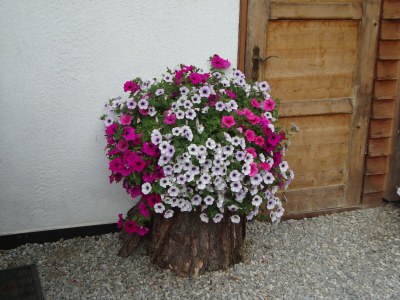 Farmhouse Winnewieser Hof - Outdoor photo 5
