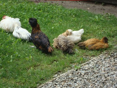 Farmhouse Winnewieser Hof - Outdoor photo 10