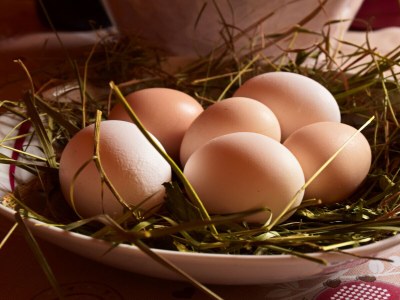 Farmhouse Winnewieser Hof - Outdoor photo 13