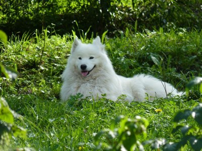 Farmhouse Winnewieser Hof - Outdoor photo 14