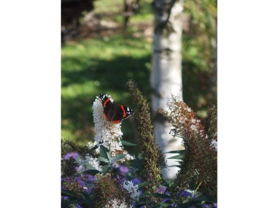 Farmhouse Winnewieser Hof - Outdoor photo 16