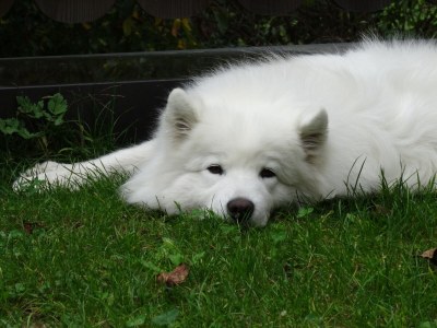 Farmhouse Winnewieser Hof - Environment photo 29