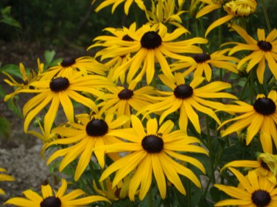 Farmhouse Winnewieser Hof - Document photo 40