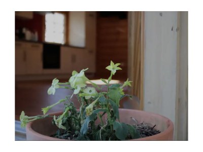 Holiday apartment Kleinlehenhof Ortler - Features photo 8