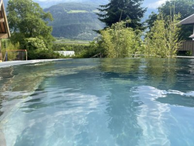 Holiday apartment Kleinlehenhof Ortler - Features photo 9