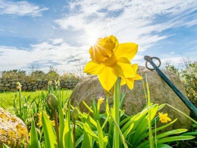Holiday house Seepark-Ferienhaus-Rügen - Outdoor photo 8