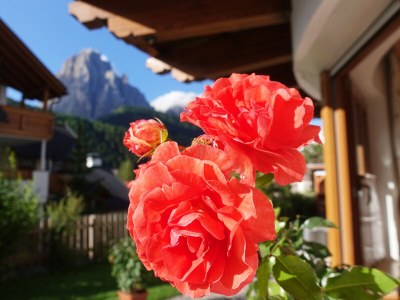 Apartment "MastlÃ©" in Villa MastlÃ© - Outdoor photo 13