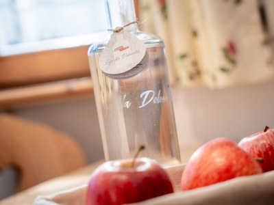 Apartment "MastlÃ©" in Villa MastlÃ© - Features photo 29