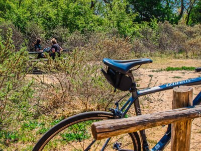 Holiday apartment "Natuurlijk" 6P - Environment photo 10