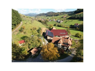 Holiday apartment Wohnung "Schwalbenflug" - Outdoor photo 10