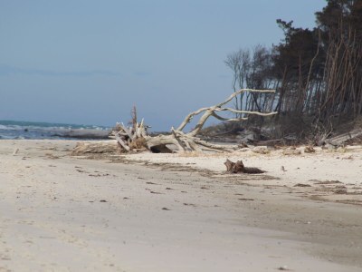 Holiday house Kiek In - Environment photo 34