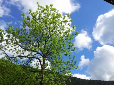 Holiday apartment Claus - Environment photo 22