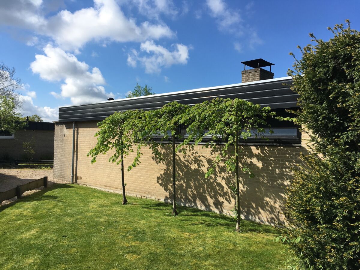 Bungalow De Schelp 7 - Outdoor photo 2