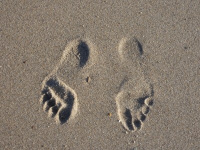 Bungalow De Schelp 7 - Environment photo 26