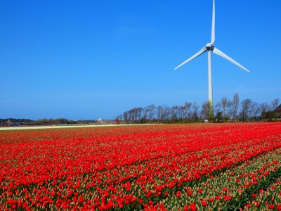 Bungalow De Schelp 7 - Environment photo 30