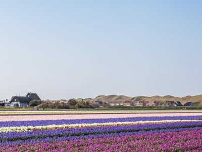 Holiday house Yuki - Environment photo 29