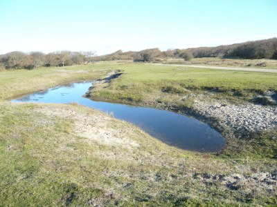 Holiday apartment Irislaan 33 - upper apartment in a two-family house - Environment photo 14