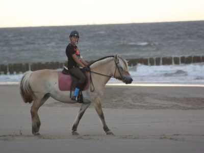 Holiday apartment Irislaan 33 - upper apartment in a two-family house - Environment photo 15