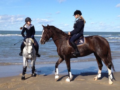 Holiday apartment Irislaan 33 - upper apartment in a two-family house - Environment photo 16