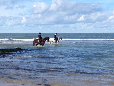 Holiday apartment Irislaan 33 - upper apartment in a two-family house - Environment photo 17