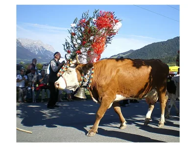 Holiday apartment Top 1 - Environment photo 14